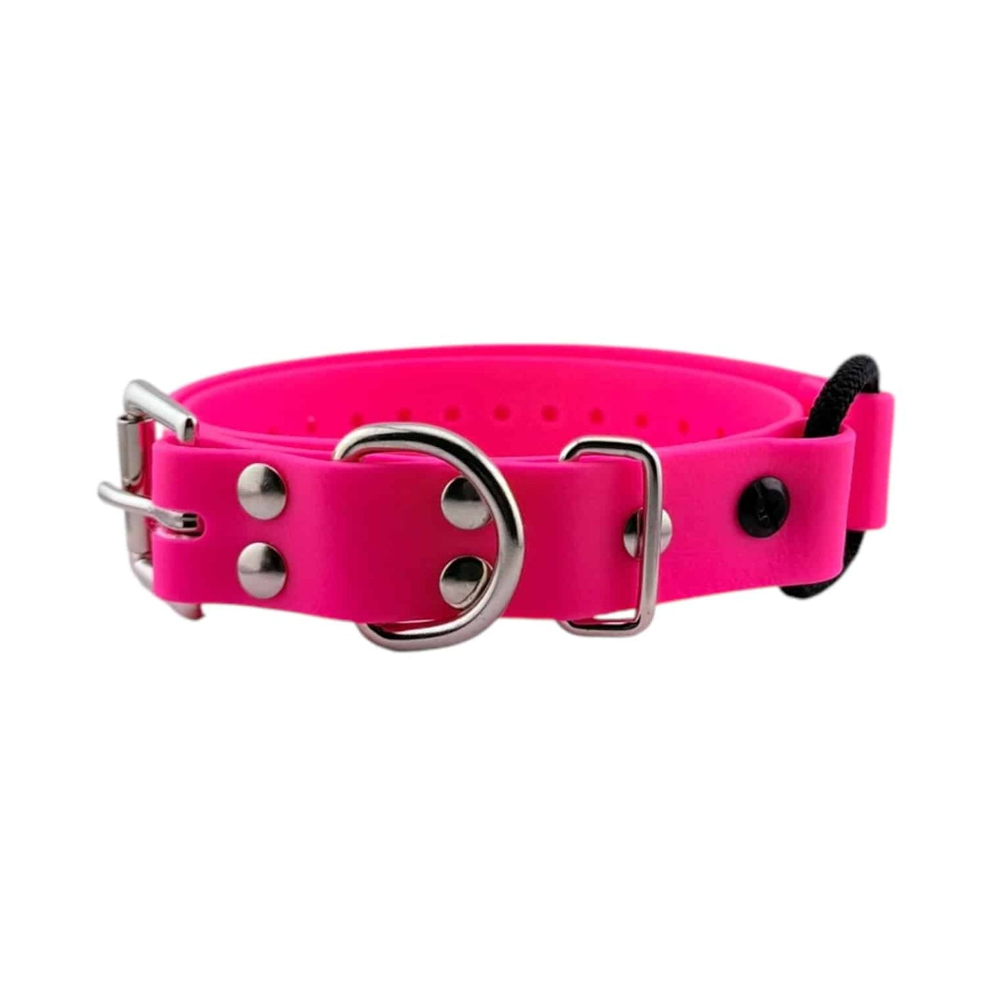 E-Collar Technologies 1" Bungee Collar Strap (33" Length)