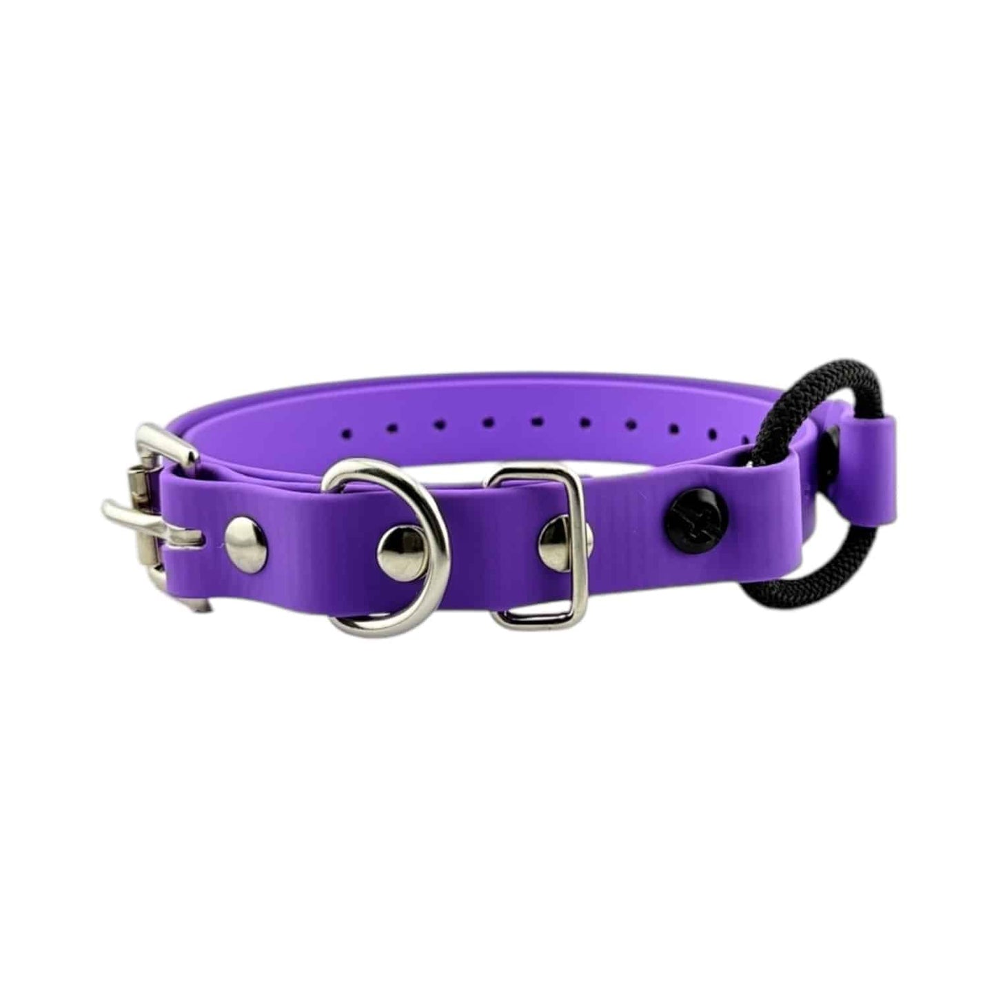 E-Collar Technologies 3/4" Bungee Collar Strap (33" Length)
