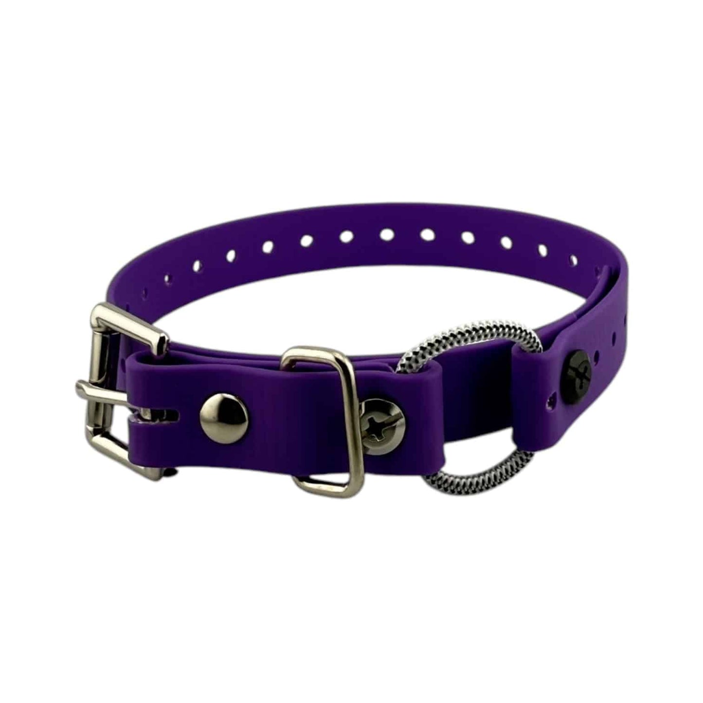E-Collar Technologies 3/4" Mini Bungee Collar Strap for Small Dogs