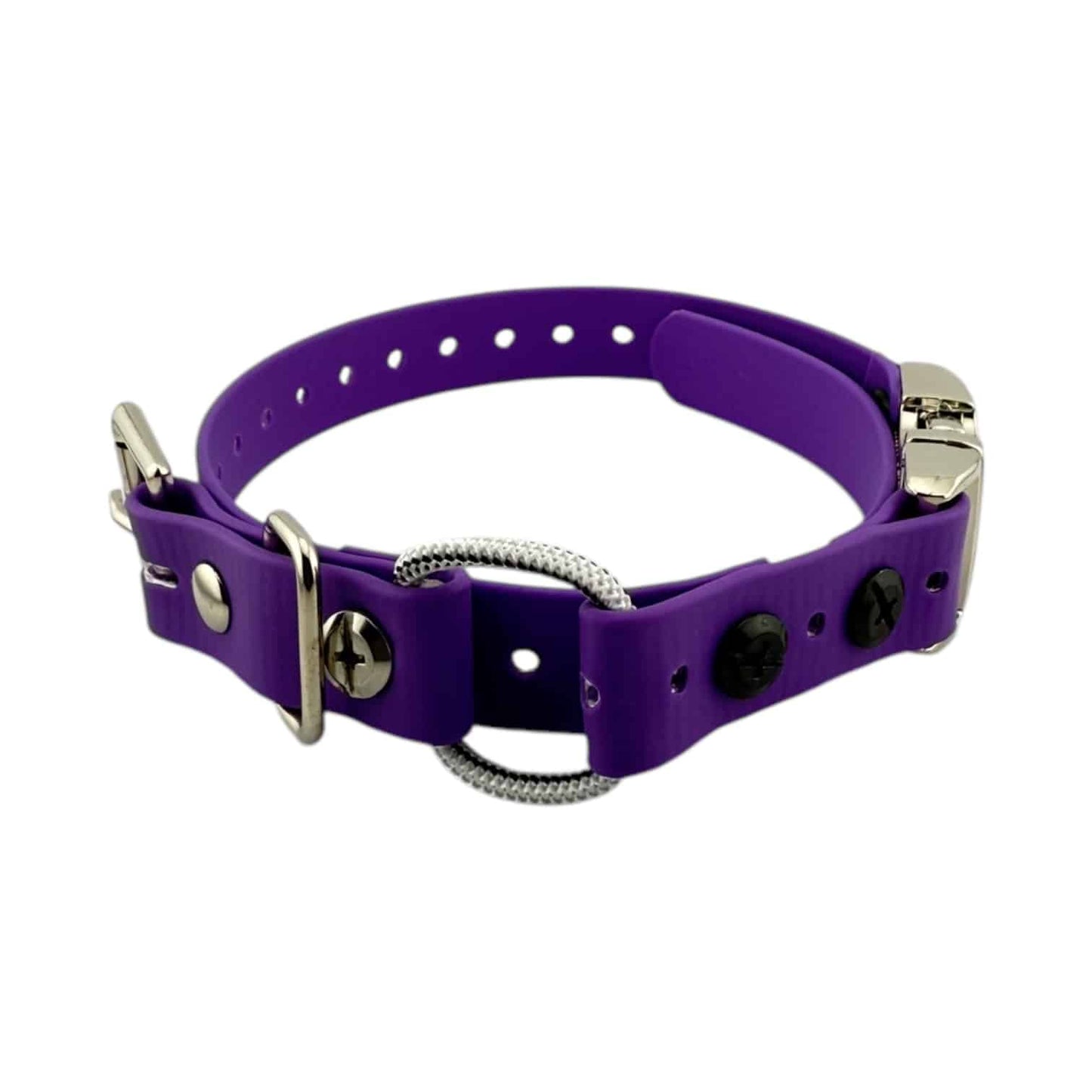 E-Collar Technologies 3/4" Quick Snap Mini Bungee Collar Strap for Small Dogs