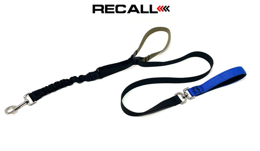 DUO RECALL ADJUSTABLE LENGTH LEASH