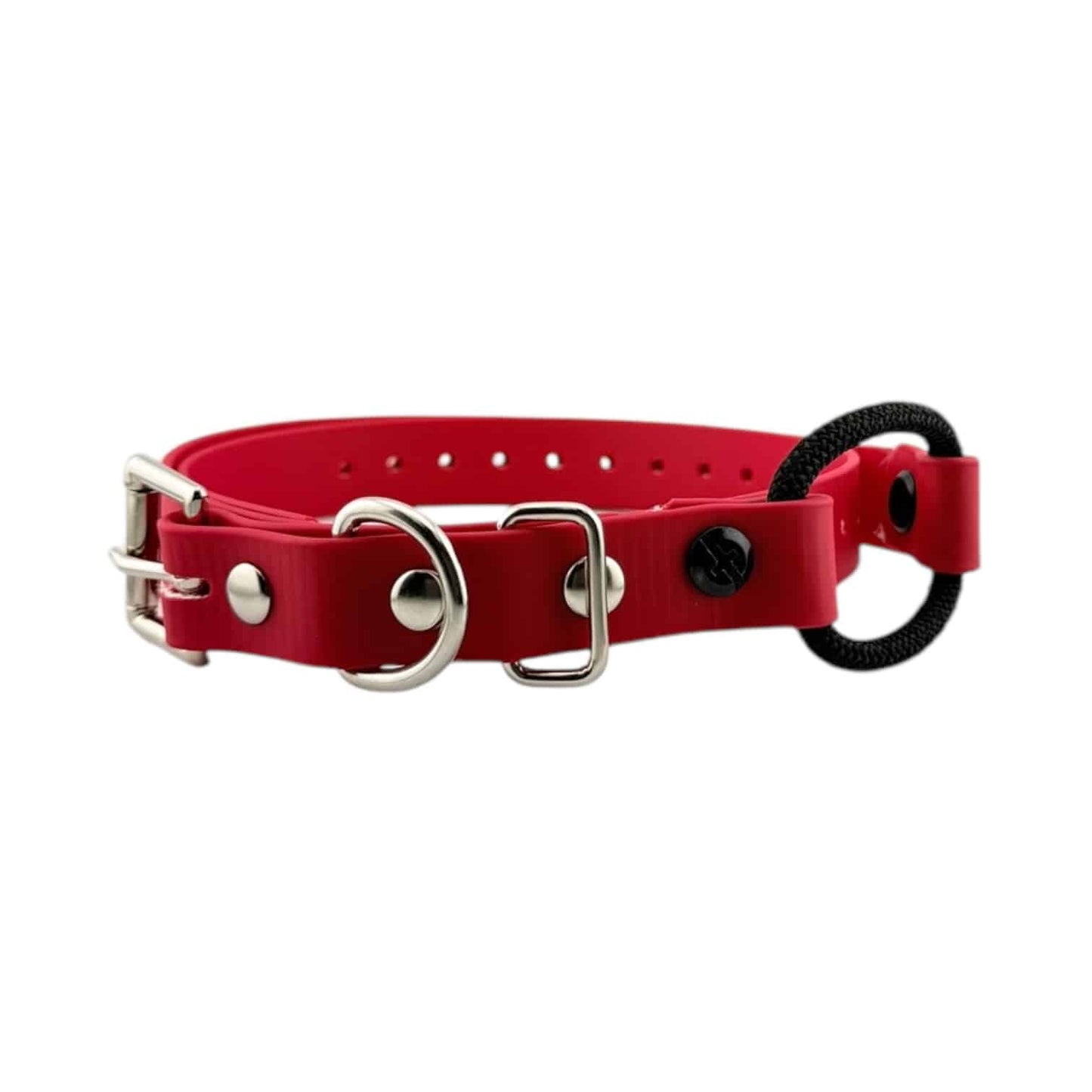 E-Collar Technologies 3/4" Bungee Collar Strap (33" Length)