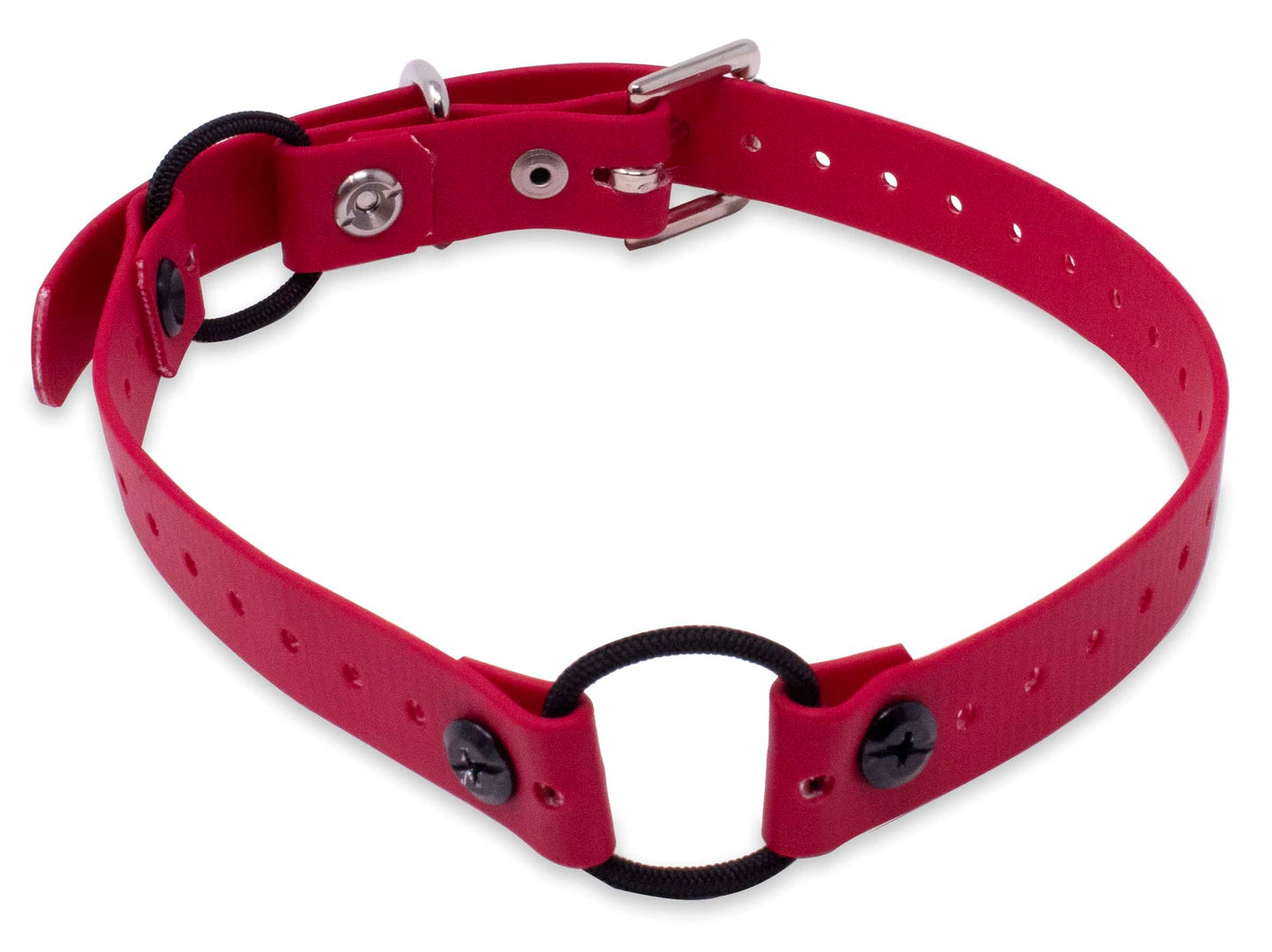E-Collar Technologies 3/4" Double Mini Bungee Collar Strap for Small Dogs