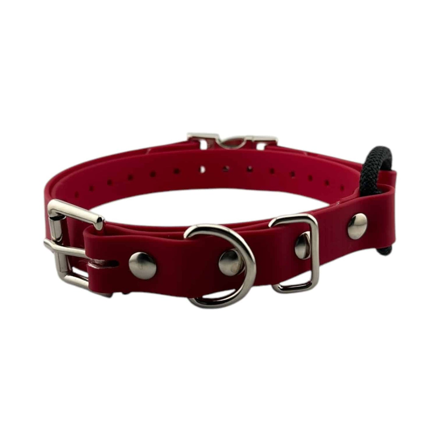 E-Collar Technologies 3/4" Quick-Snap Bungee Collar Strap