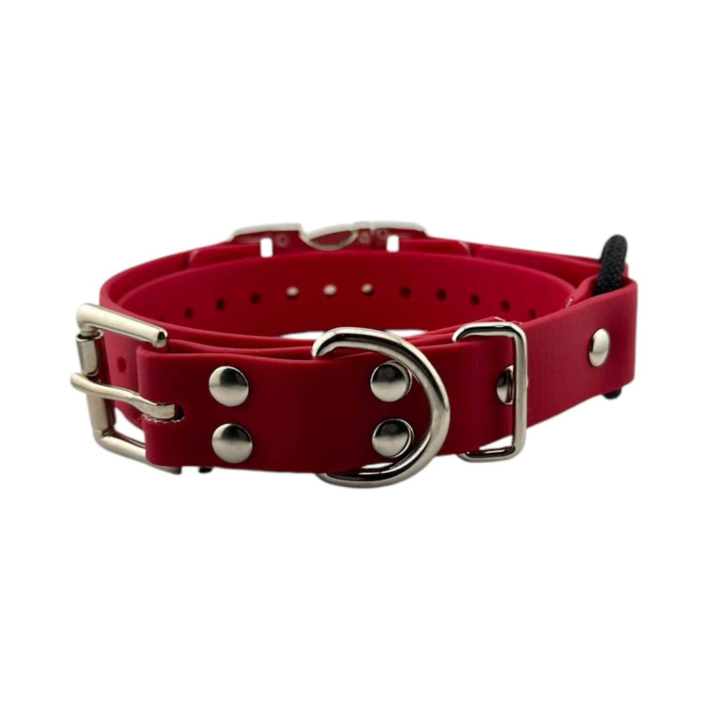 E-Collar Technologies 1" Quick Snap Bungee Collar Strap (33" Length)