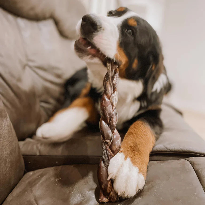 Bully Bunches 12 Inch Braided Jerky Stick