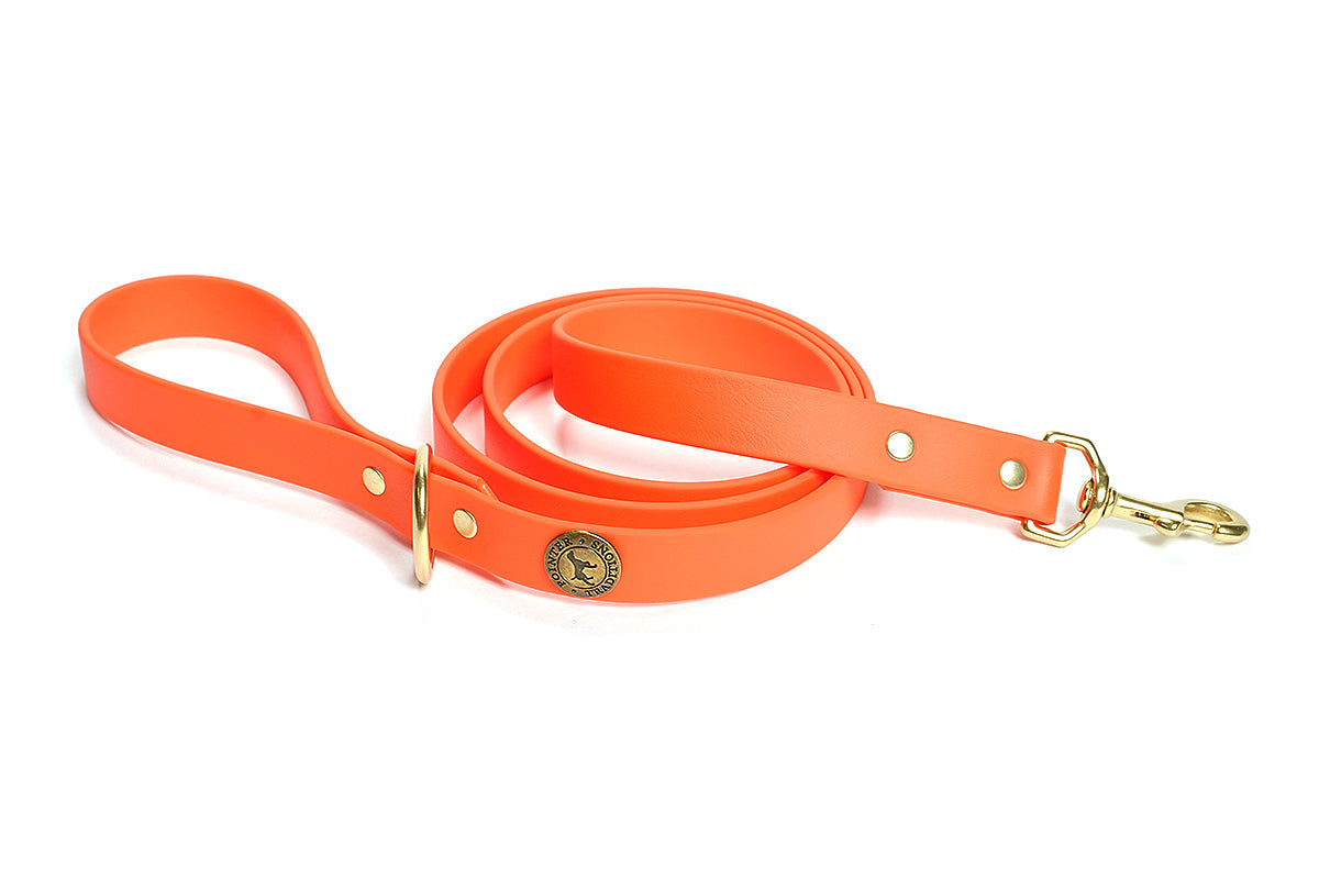 Pointer Traditions Sporting Dog Leash - Blaze Orange