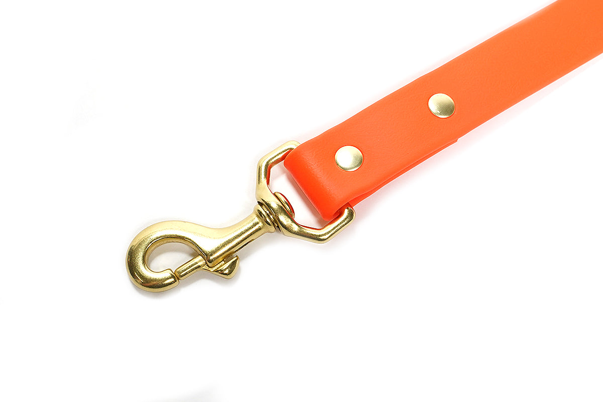 Pointer Traditions Sporting Dog Leash - Blaze Orange