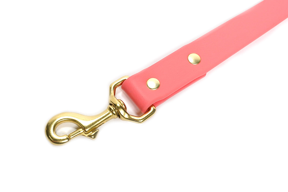 Pointer Traditions Sporting Dog Leash - Coral