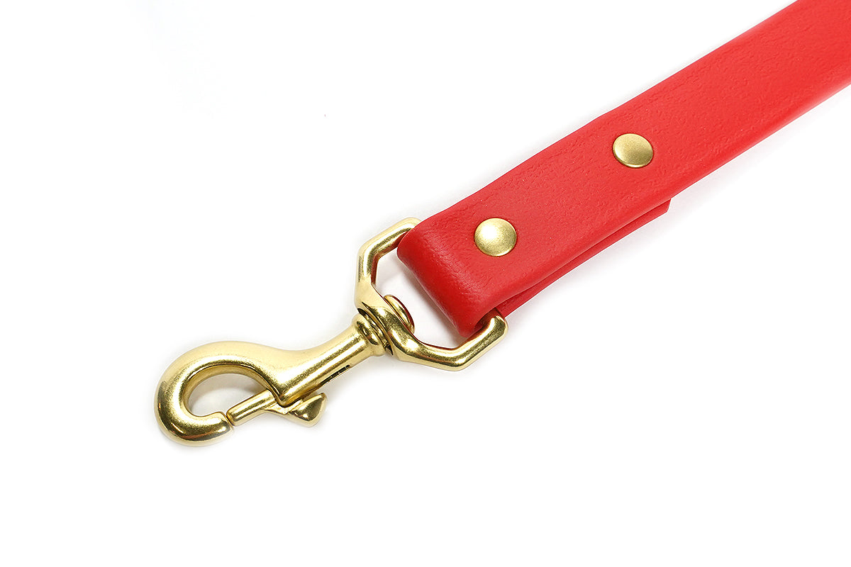 Pointer Traditions Sporting Dog Leash - Red