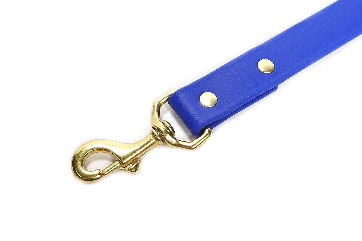 Pointer Traditions Sporting Dog Leash - River Blue