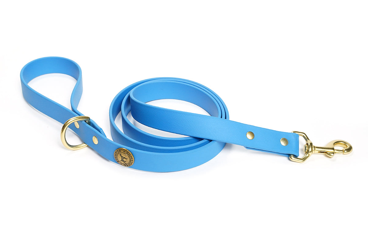 Pointer Traditions Sporting Dog Leash - Sky Blue