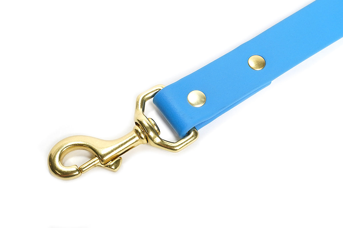Pointer Traditions Sporting Dog Leash - Sky Blue