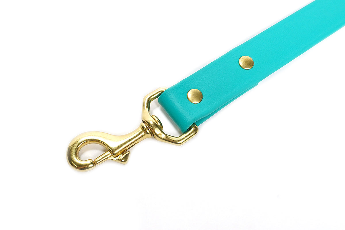 Pointer Traditions Sporting Dog Leash - Teal