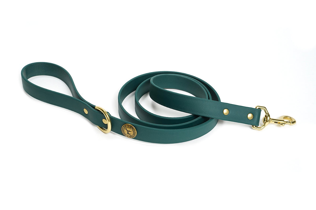 Pointer Traditions Sporting Dog Leash - Woodland Green
