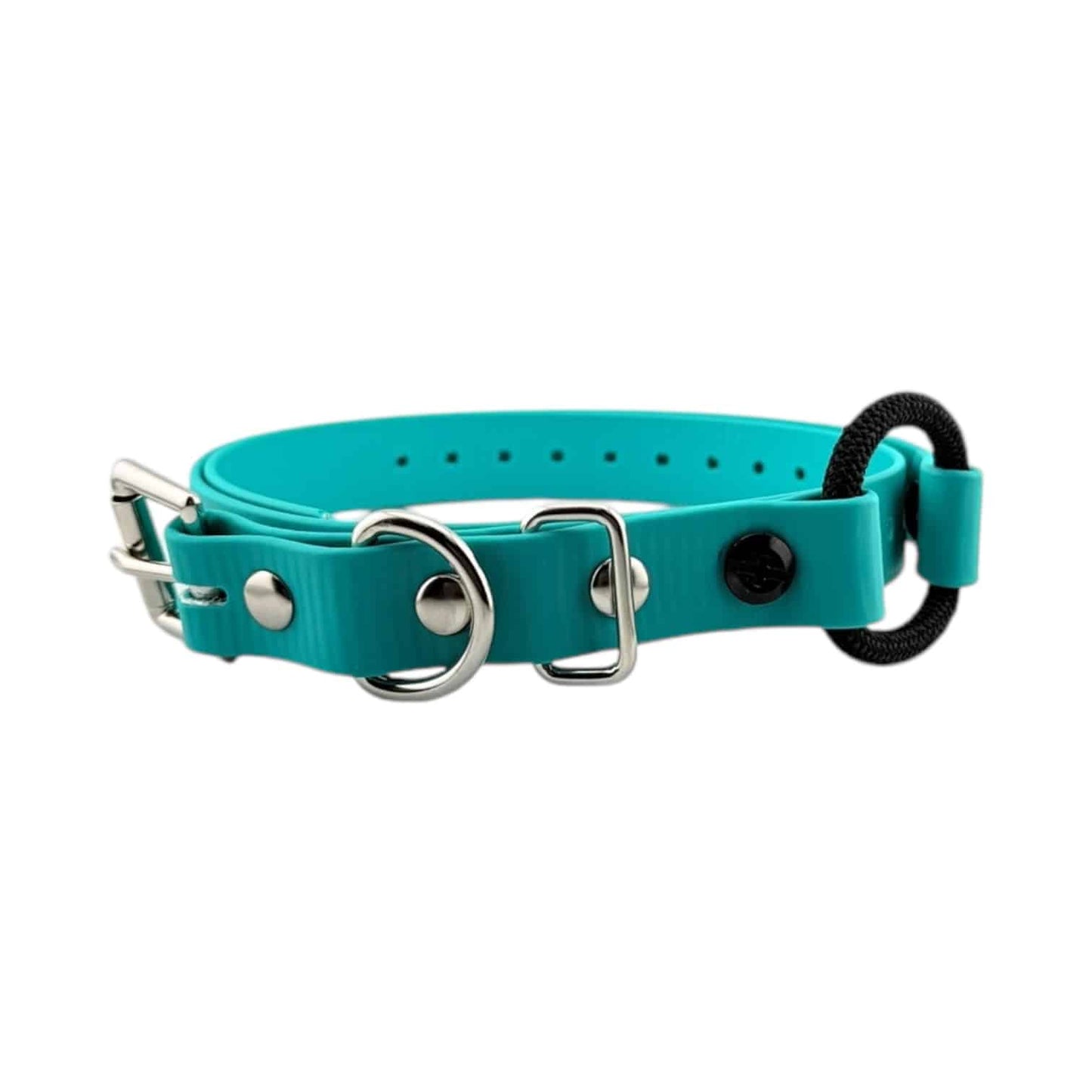 E-Collar Technologies 3/4" Bungee Collar Strap (33" Length)