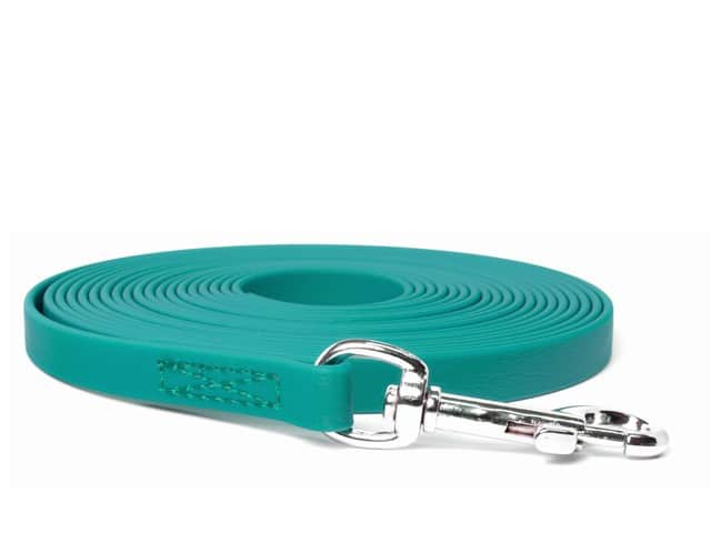 15′ Teal BioThane Leash