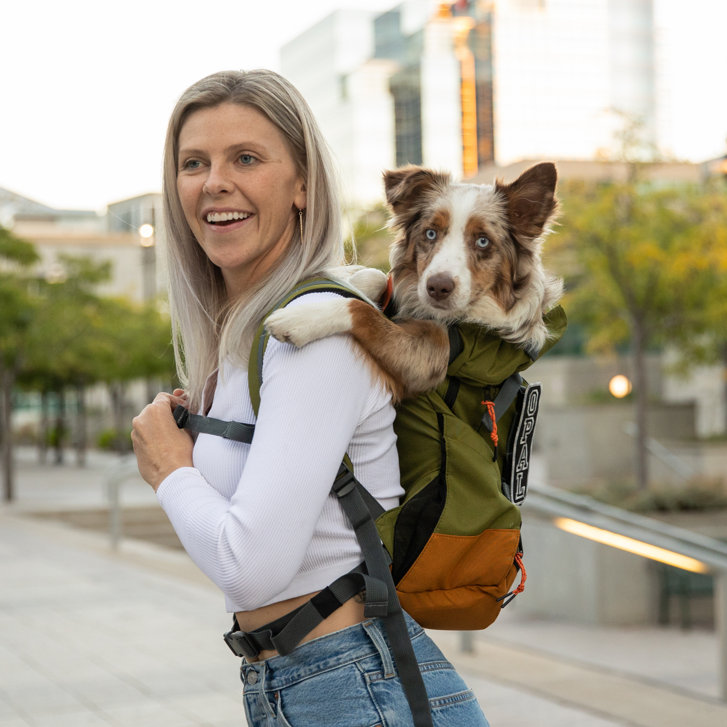 K9 Sport Sack Urban 3 | Dual Use Dog Carrier & Traditional Backpack