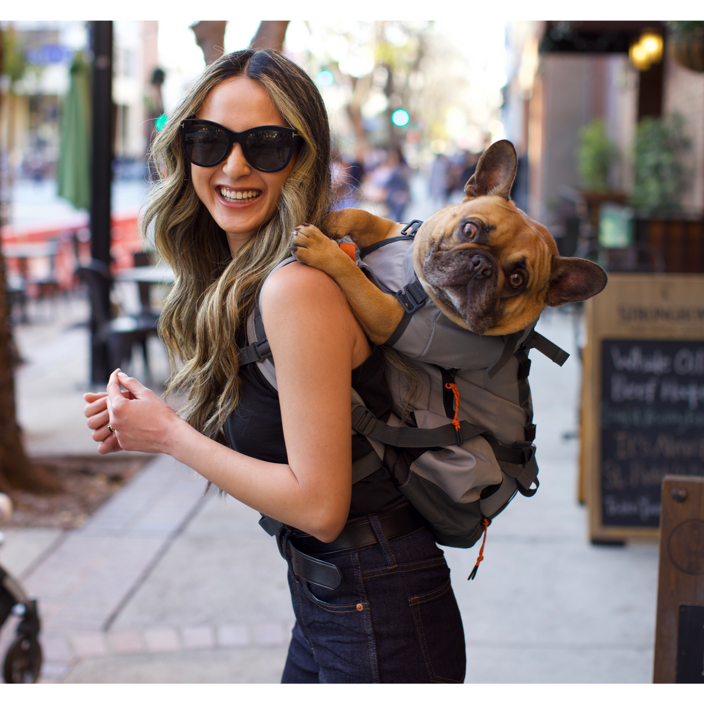 K9 Sport Sack Urban 3 | Dual Use Dog Carrier & Traditional Backpack