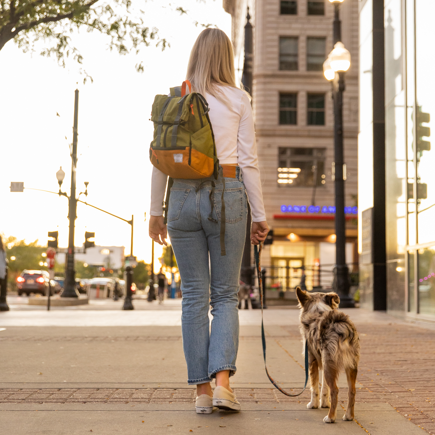 K9 Sport Sack Urban 3 | Dual Use Dog Carrier & Traditional Backpack