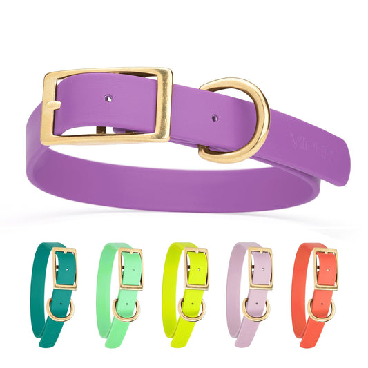 Viper Biothane Waterproof Dog Collar - Brass Hardware - Size XL (22" - 25")