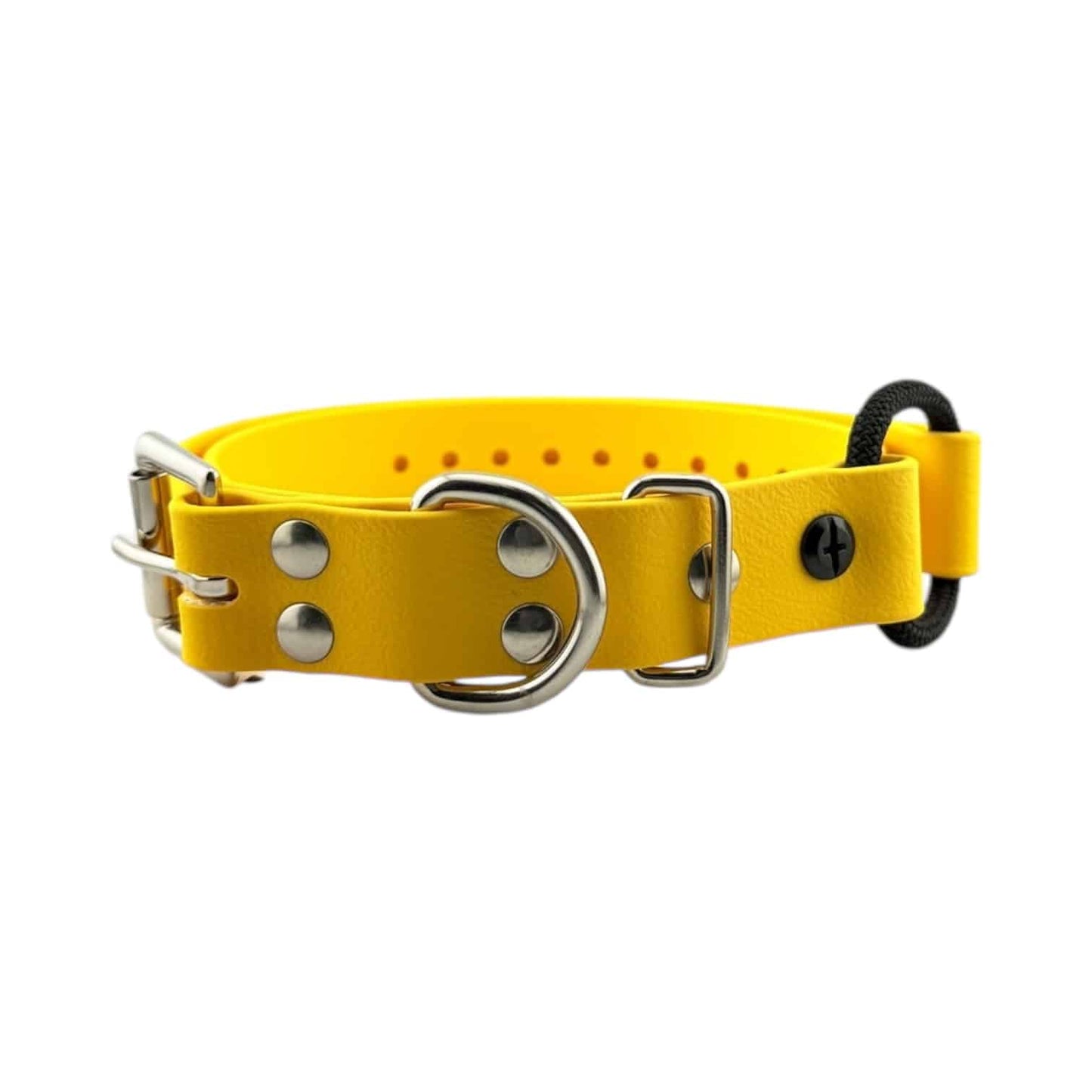 E-Collar Technologies 1" Bungee Collar Strap (33" Length)