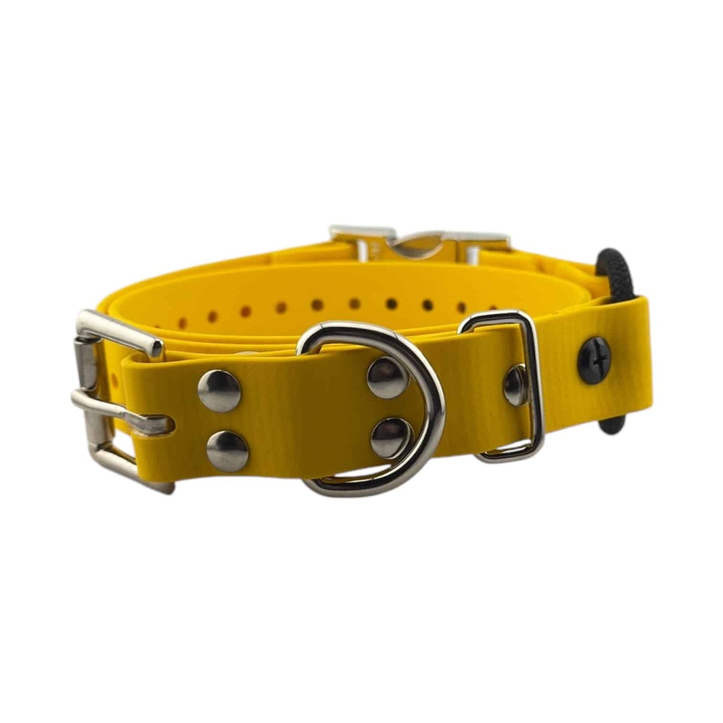 E-Collar Technologies 1" Quick Snap Bungee Collar Strap (33" Length)