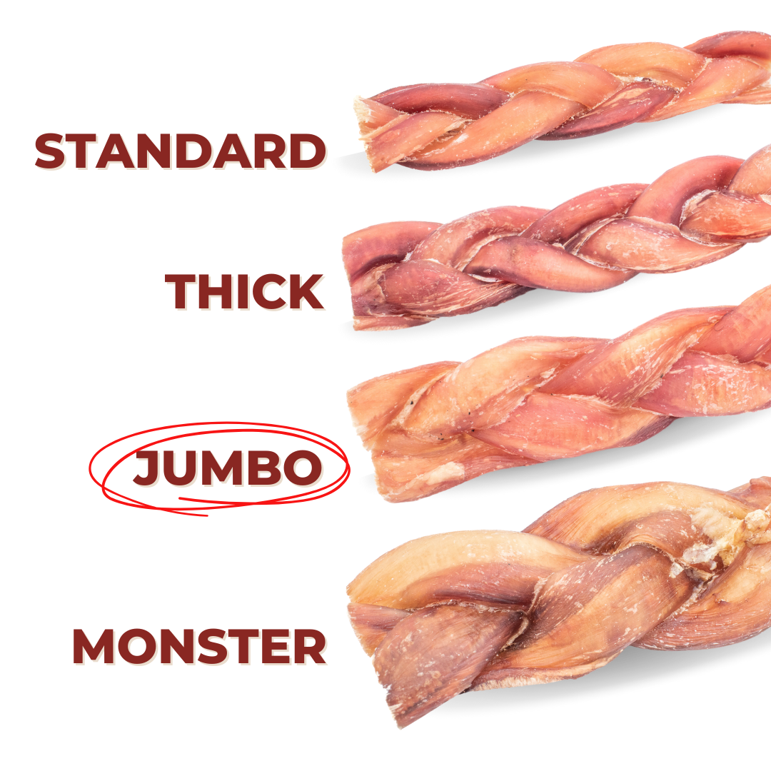 Bully Bunches 6 Inch Jumbo Braided Bully Stick