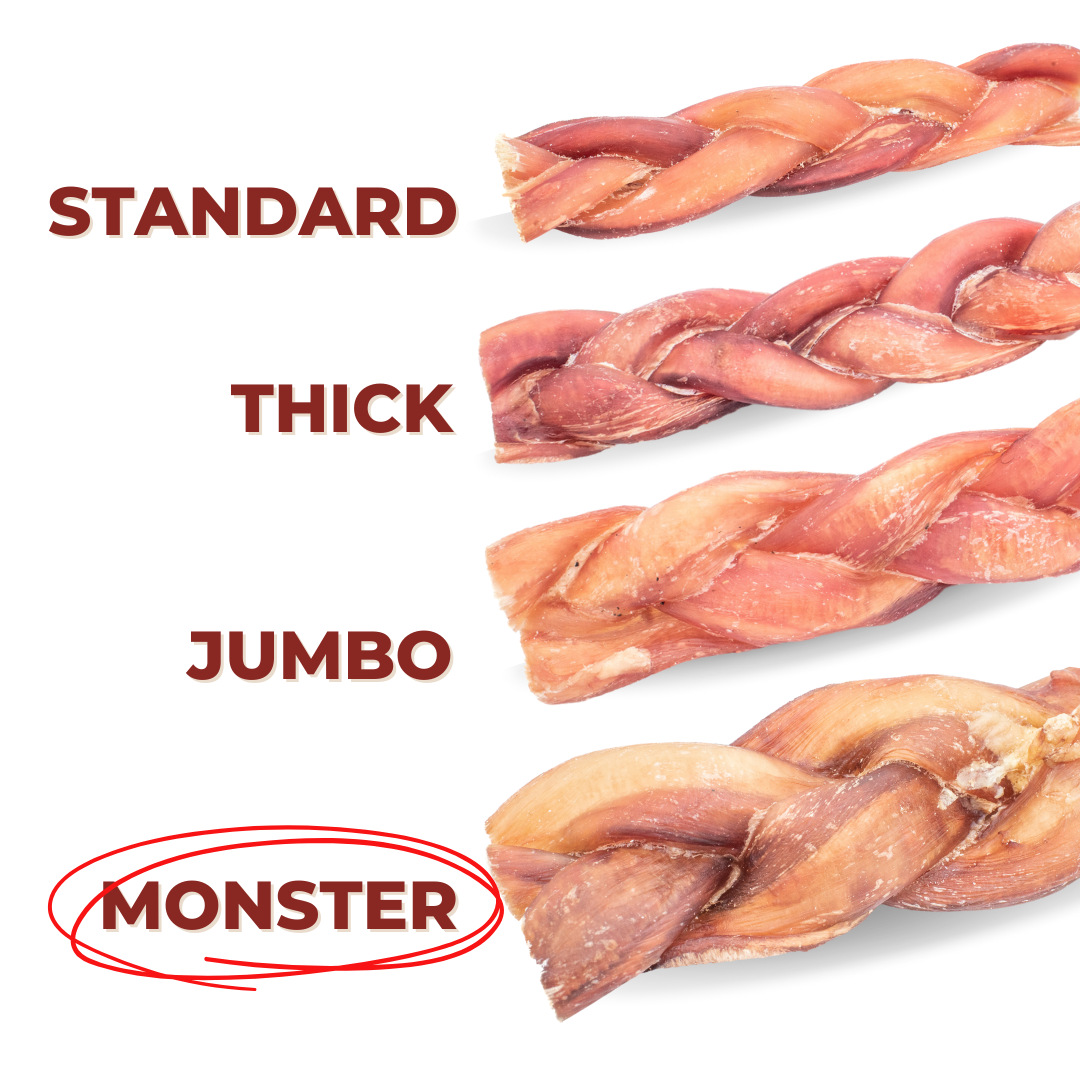 Bully Bunches 12 Inch Monster Braided Bully Stick