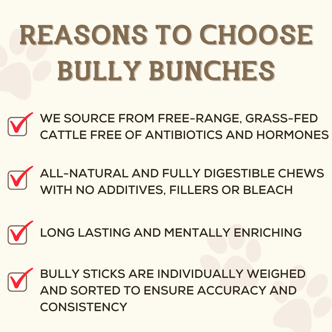 Bully Bunches 6 Inch Jumbo Braided Bully Stick