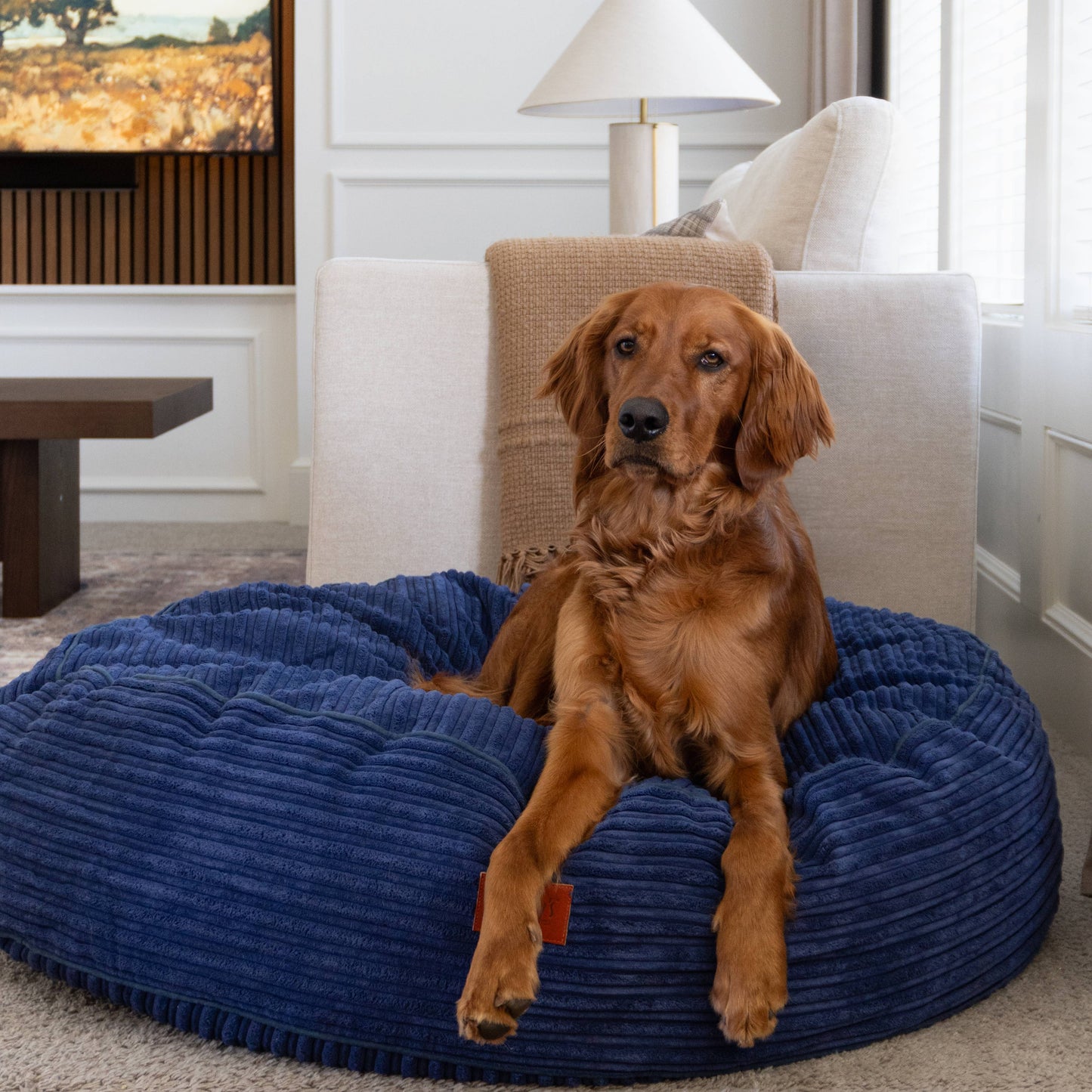 Cordaroy's 40 Inch Forever Dog Beds (Waterproof) - Terry Corduroy