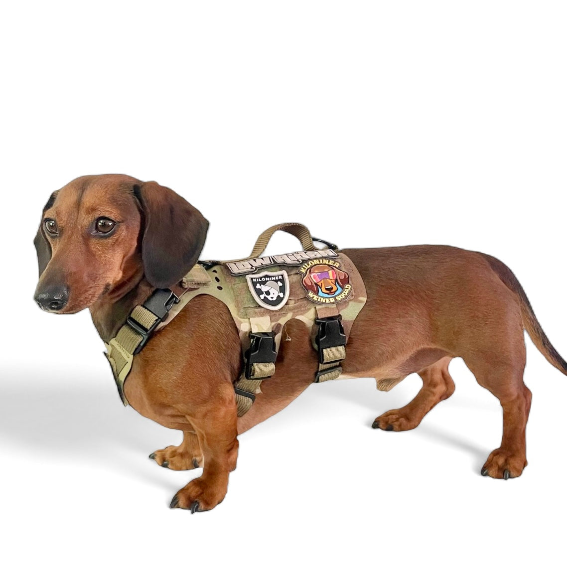 Kiloniner K9R - M5 MOLLE Light Vest