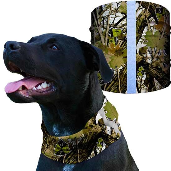 E-Collar Technologies Dog Shield