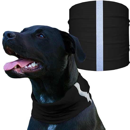 E-Collar Technologies Dog Shield