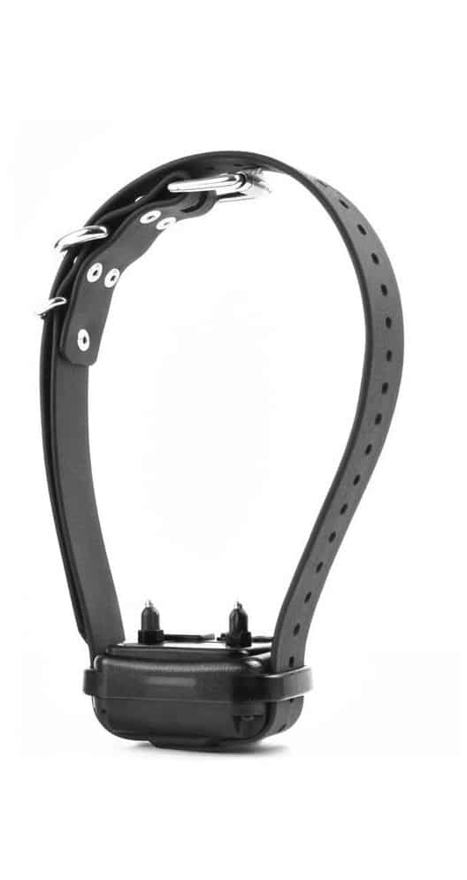E-Collar Technologies RX-120 Dummy Collar on Biothane Strap