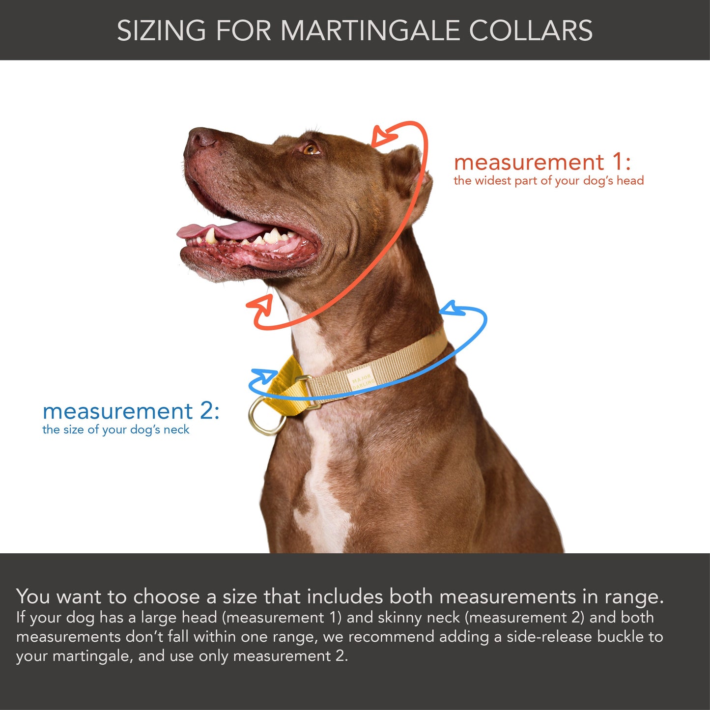 martingale collar / forest + olive
