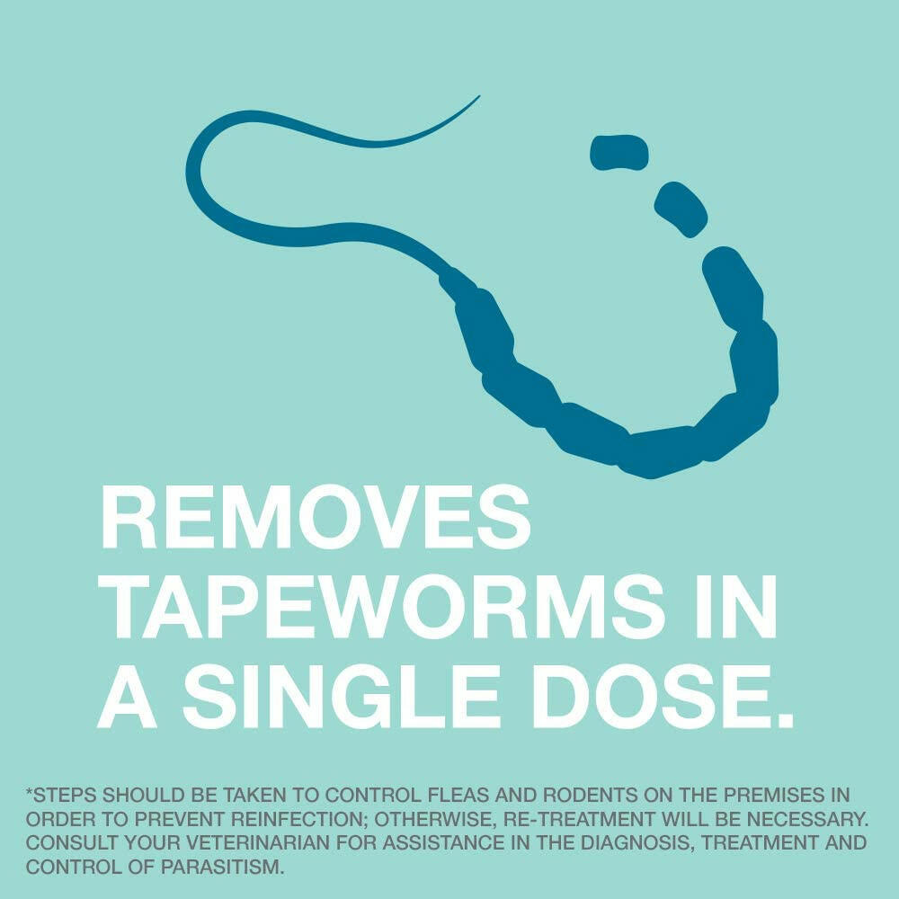 Tapeworm Dewormer for Dogs (5 Tablets)