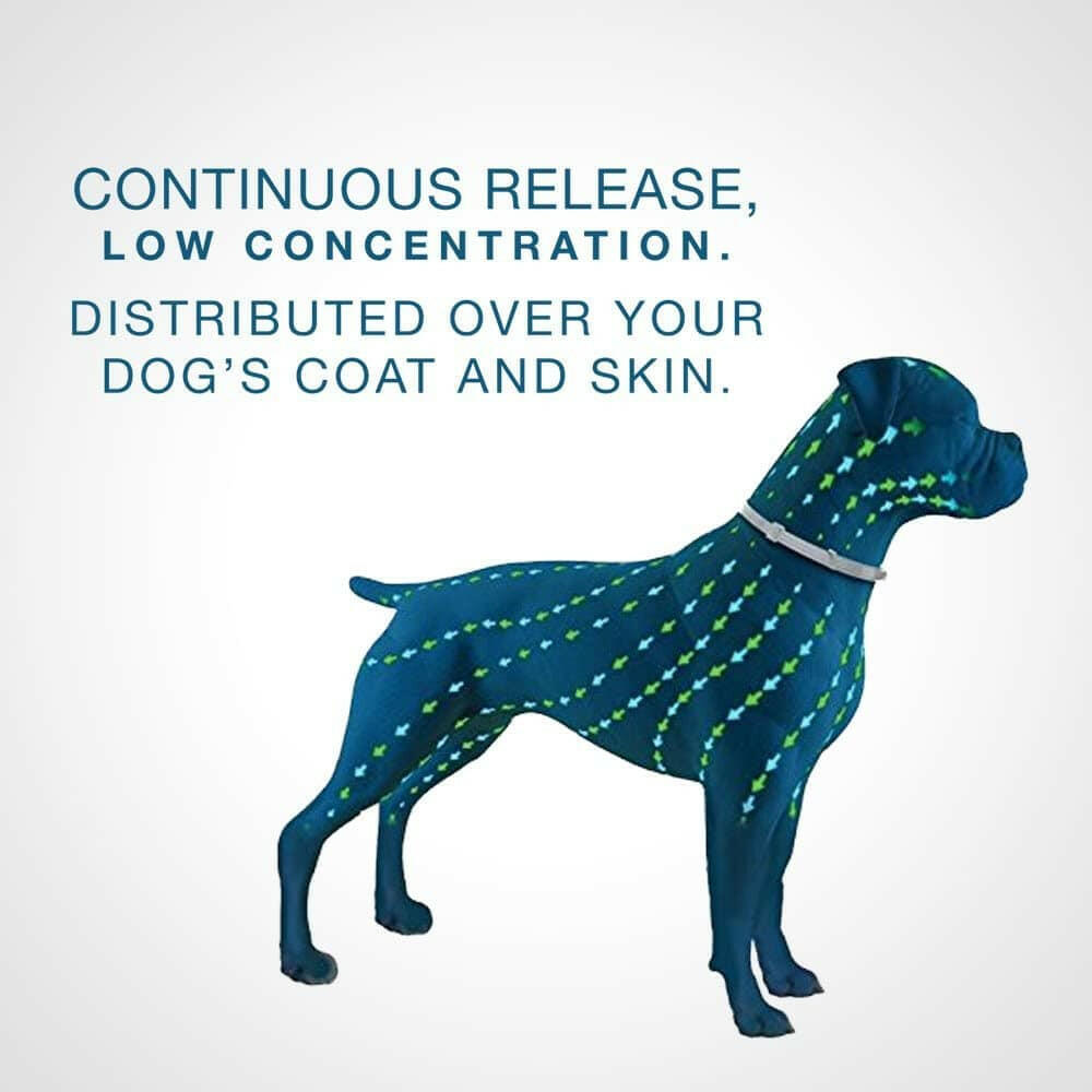 Seresto Flea & Tick Collar for Small Dogs