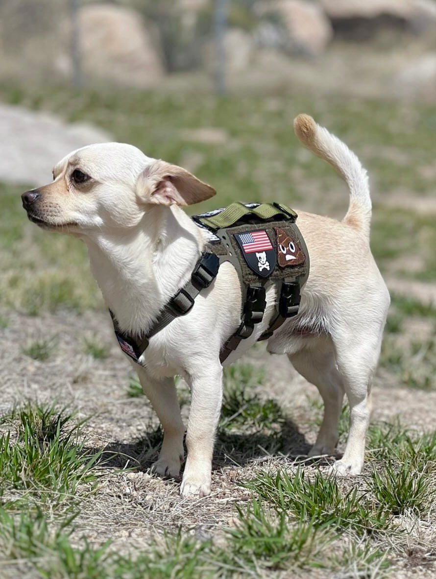 Kiloniner K9R - M5 MOLLE Light Vest
