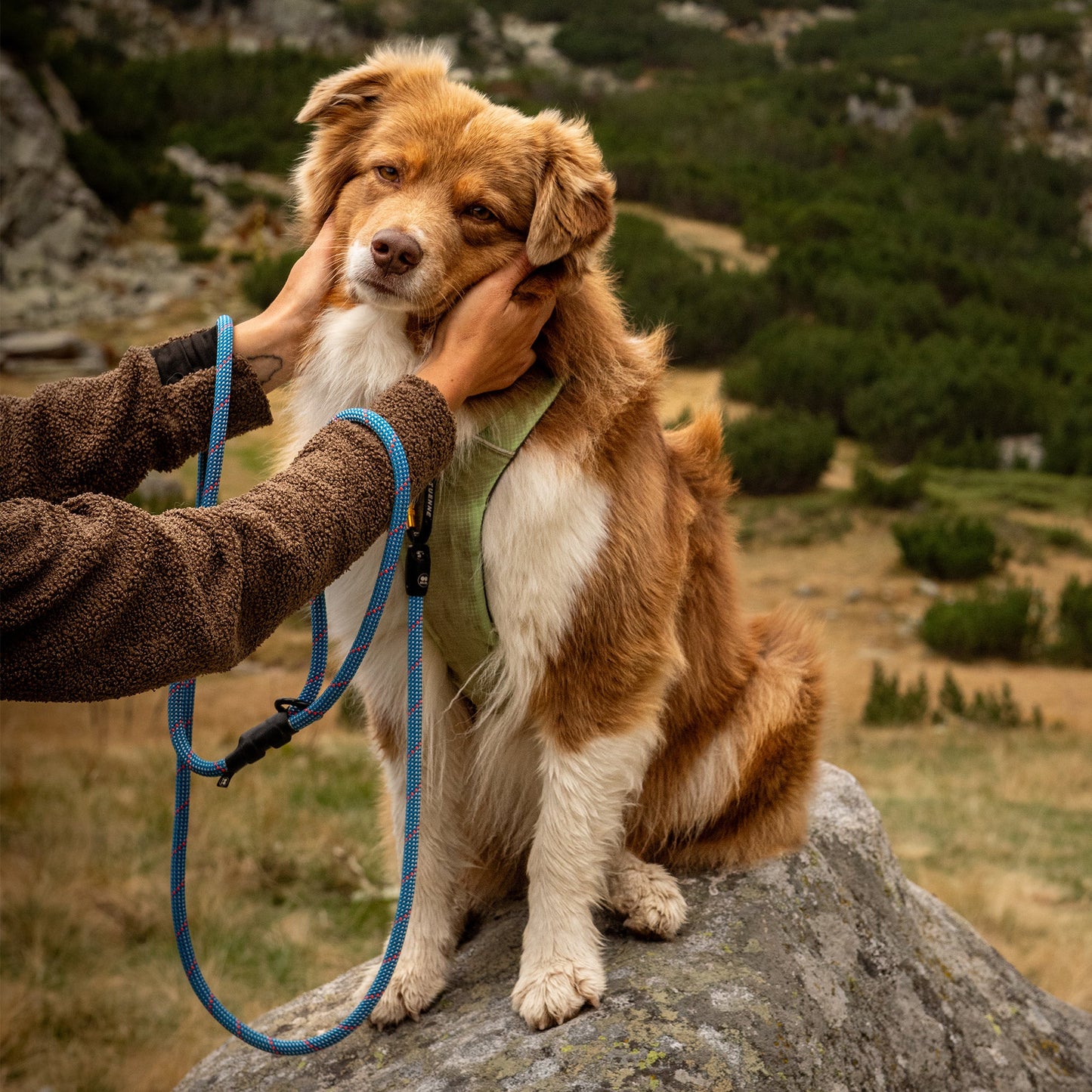 Tuenne Customizable Boulder Hybrid Dog Leash