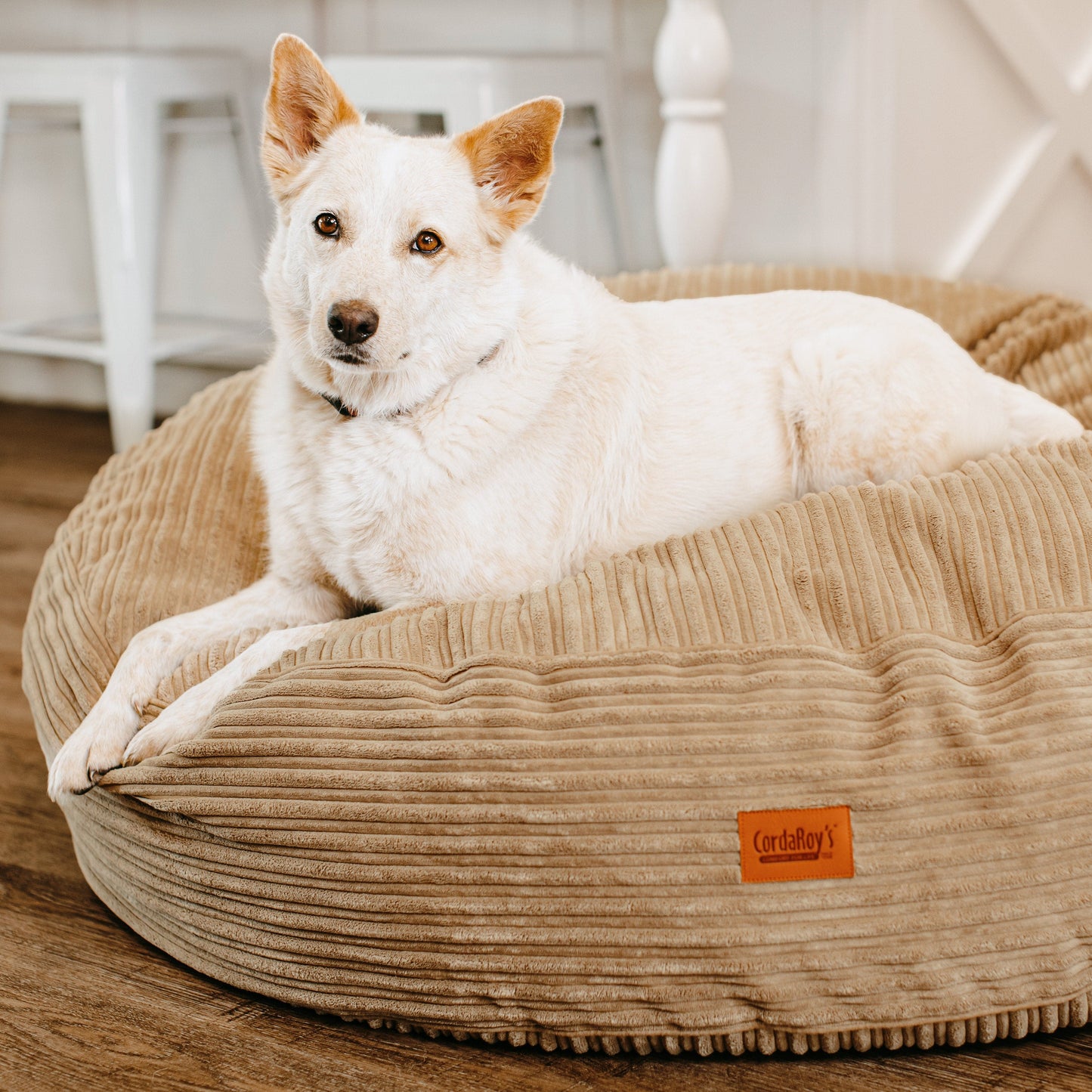 Cordaroy's 40 Inch Forever Dog Beds (Waterproof) - Terry Corduroy