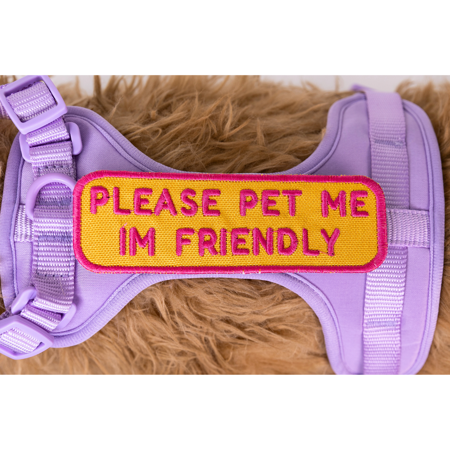 K9 Sport Sack Please Pet Me Patch