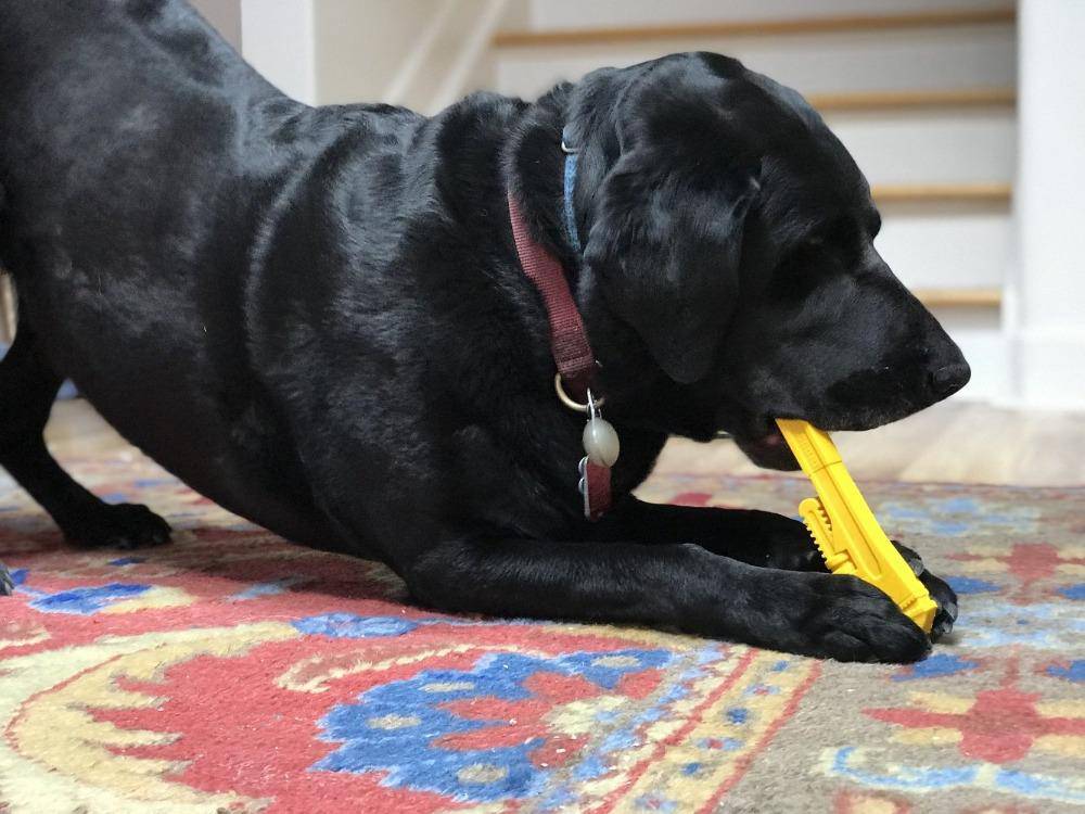 ID Pipe Wrench Ultra Durable Nylon Dog Chew Toy