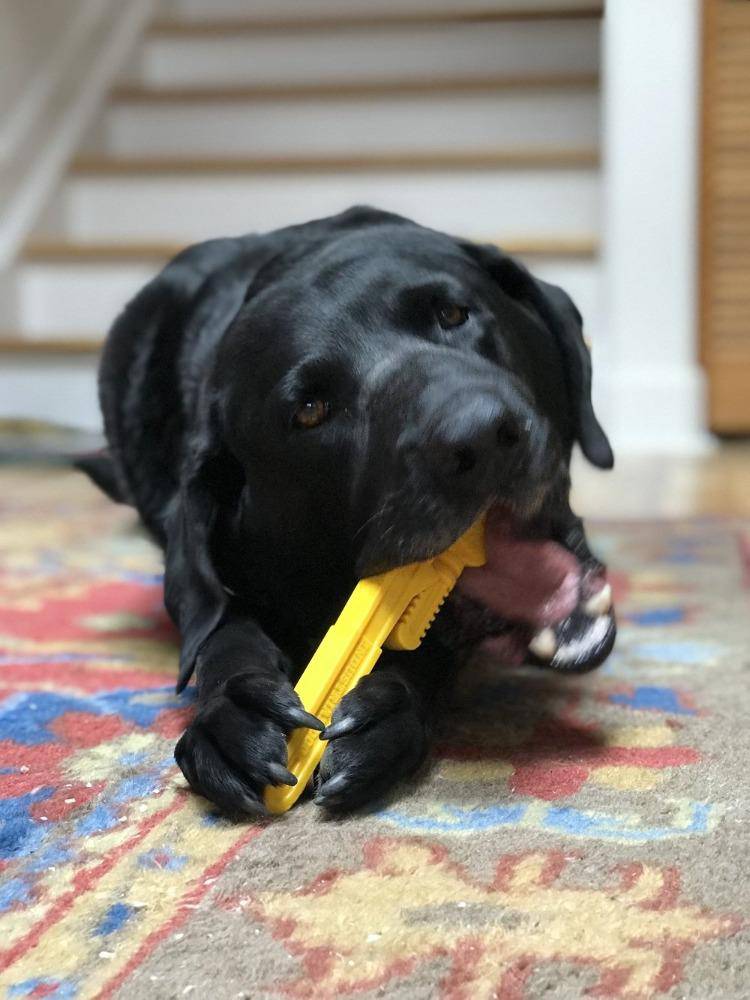 ID Pipe Wrench Ultra Durable Nylon Dog Chew Toy