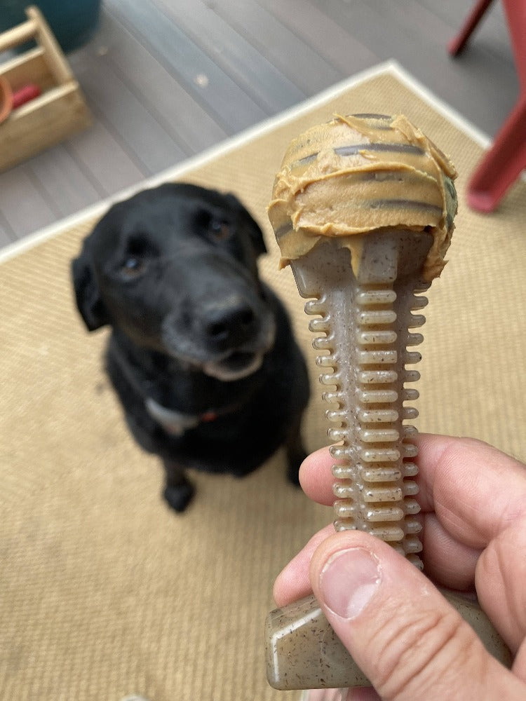 Honey Bone Dental Tower eChew Ultra Durable Nylon Dog Chew Toy