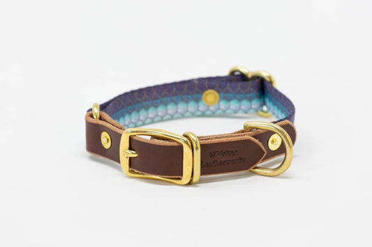 Whiskey Leather Works Saltwater Dog Collars