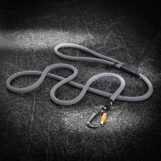 Tuenne Customizable Boulder Hybrid Dog Leash