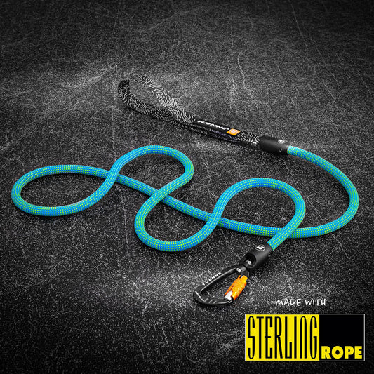 Tuenne Ion Blue Dry 9.4mm Dog Leash