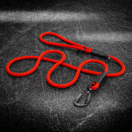 Tuenne Customizable Norte Dog Leash