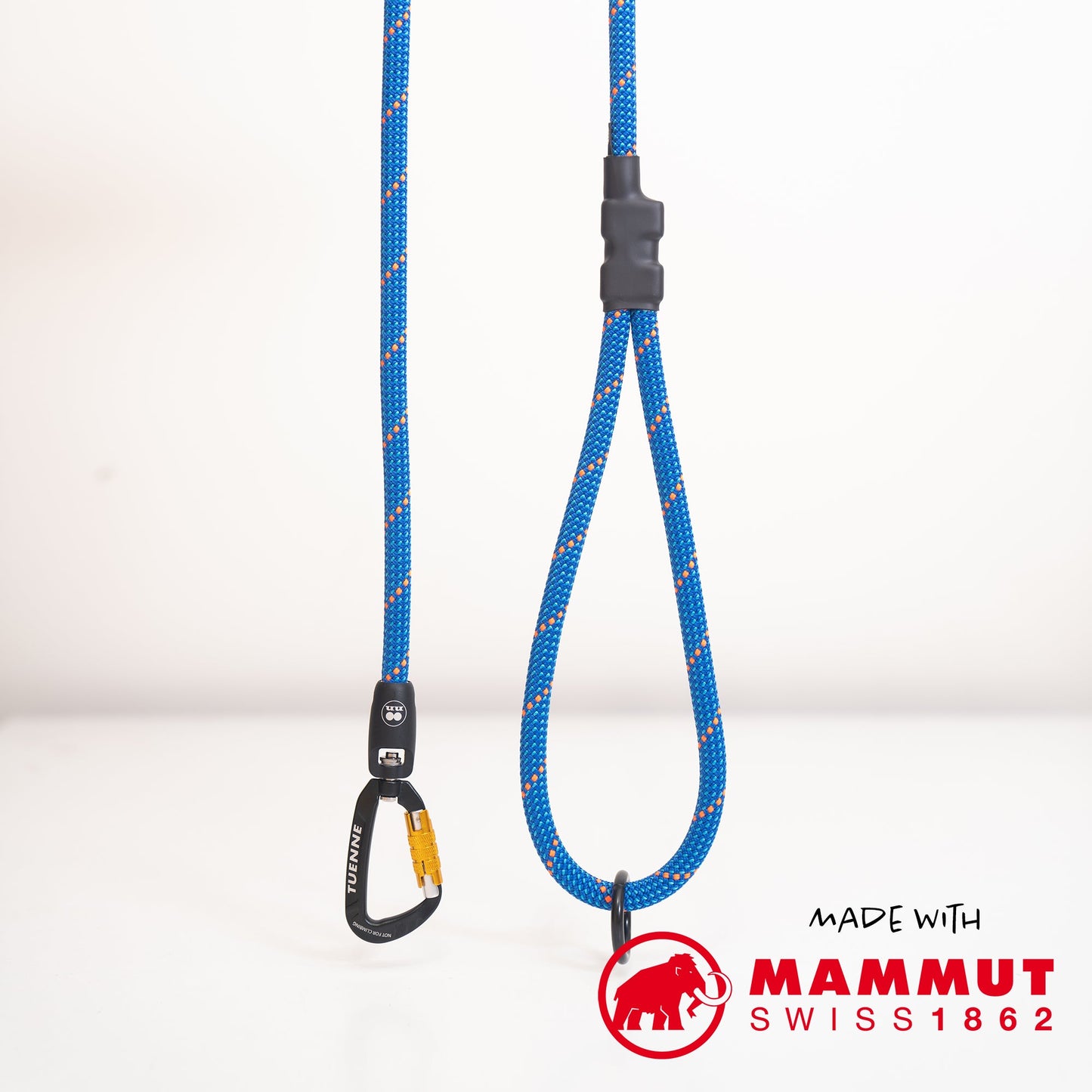 Tuenne Customizable Boulder Hybrid Dog Leash